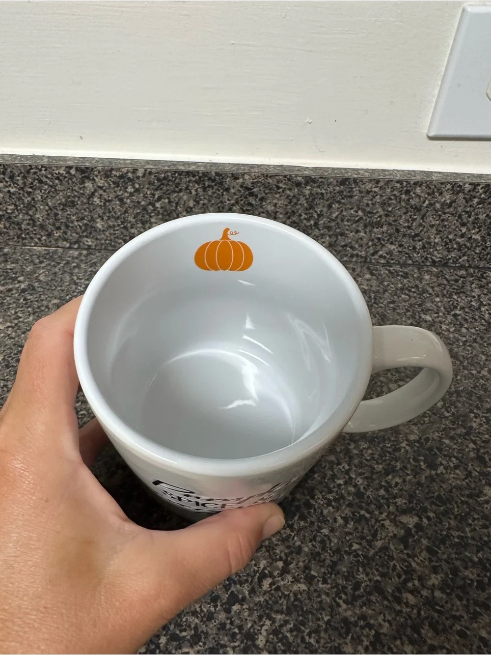 Pumpkin Spice Coffee Mug 20oz